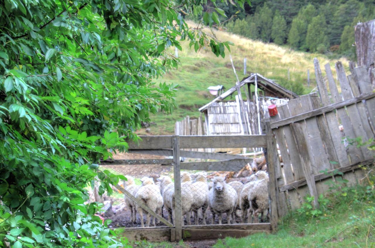 Turismo Rural Los Alpes Futaleufú 外观 照片